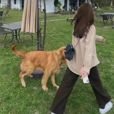 荒唐丘八